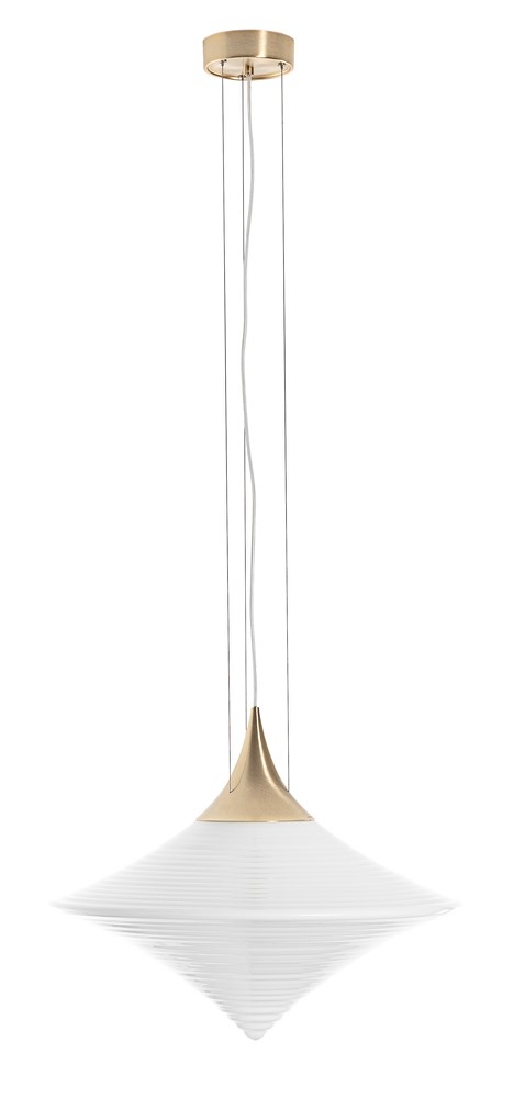 discalopalin_hindrabii_disca discalopalin_hindrabii_disca