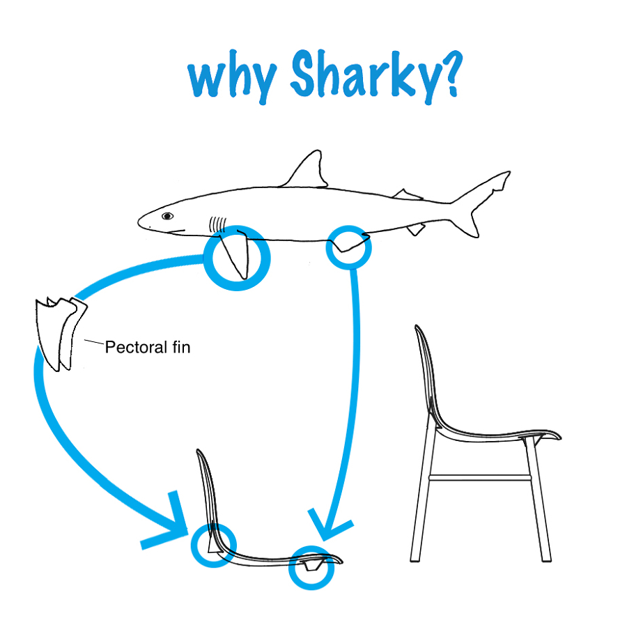 whysharky-900x900